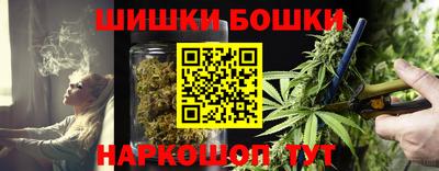 прущие грибы Нарткала