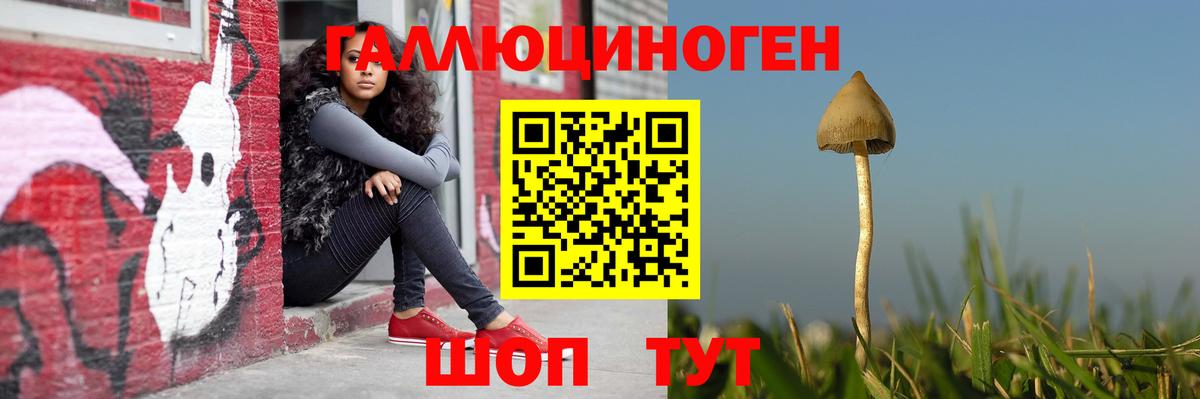 Галлюциногенные грибы Psilocybe  Вход с VPN  Холмск 